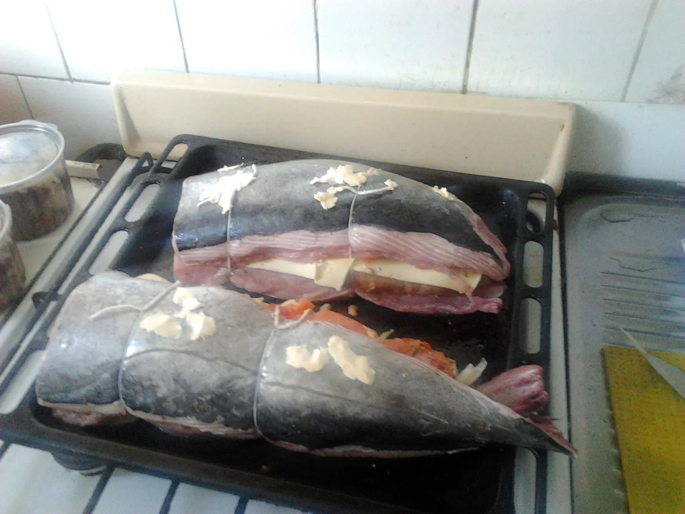 Cancato de salmón