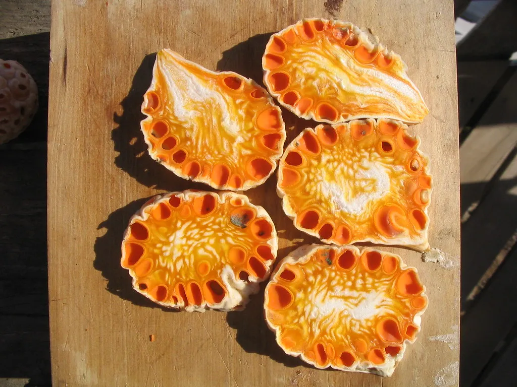 Ensalada de digüeñes