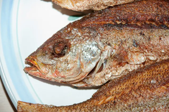 Fry snapper