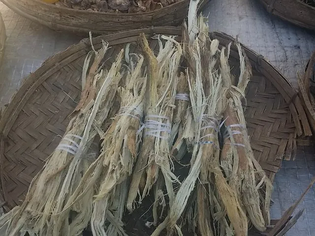 Munkoyo
