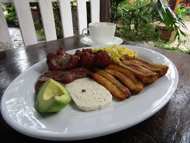 Plato típico hondureño