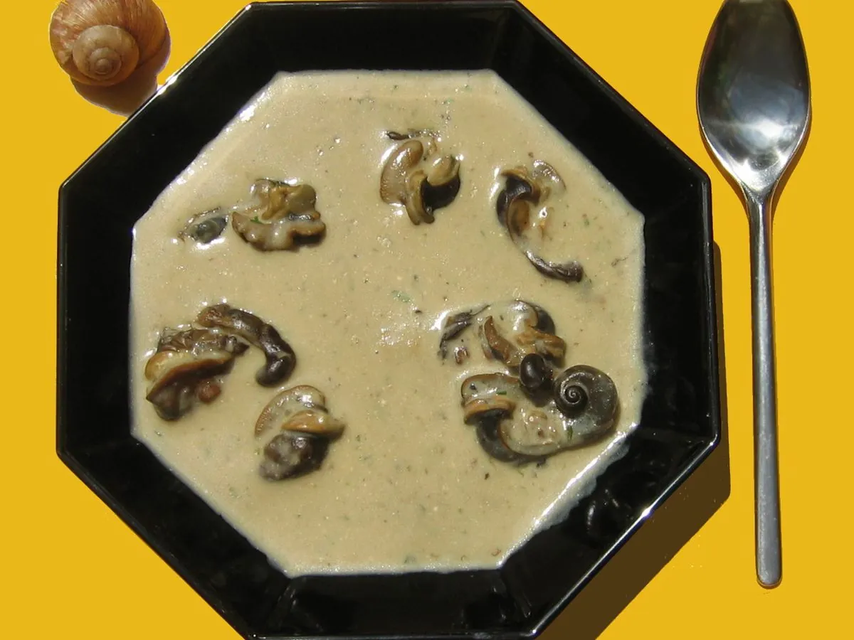 Sopa de caracol