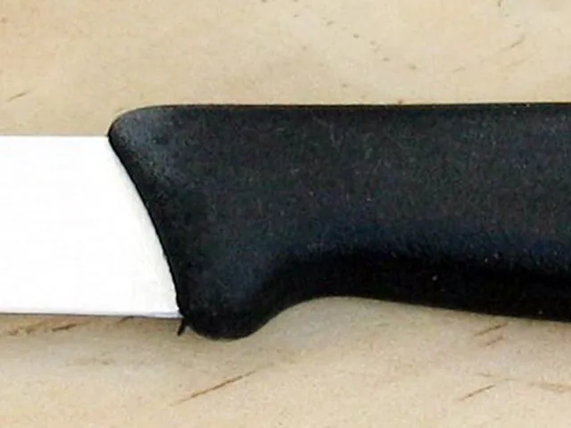 Cuchillo puntilla